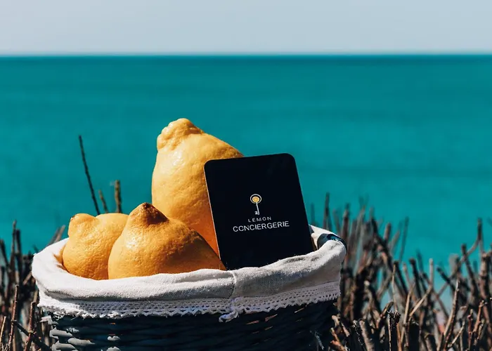 Maison Cozy & Jardin